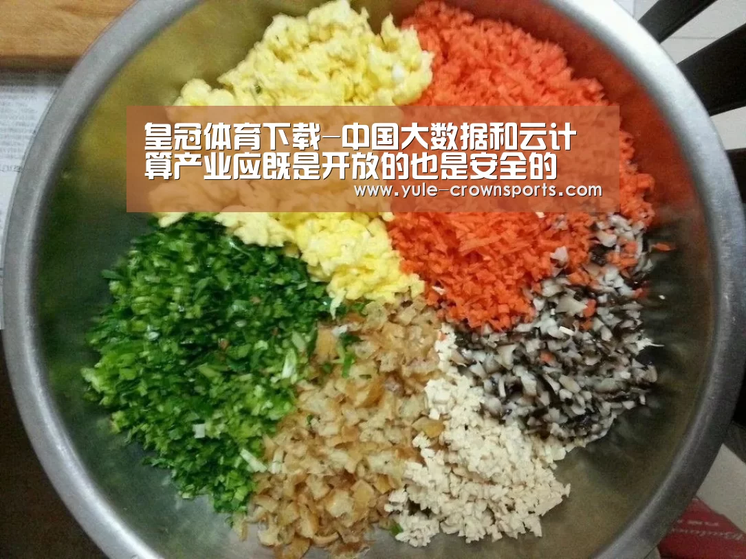 皇冠体育下载-中国大数据和云计算产业应既是开放的也是安全的(图2) 皇冠体育下载