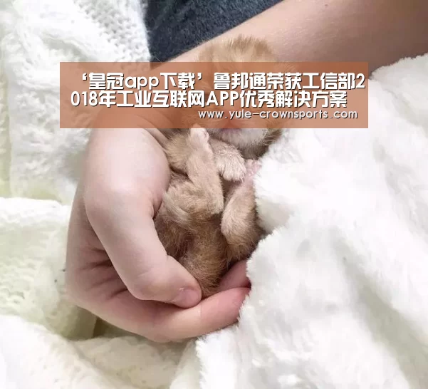 皇冠app下载