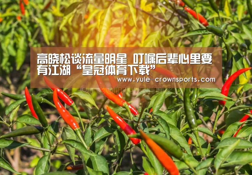 高晓松谈流量明星 叮嘱后辈心里要有江湖“皇冠体育下载”(图2) 皇冠体育网址